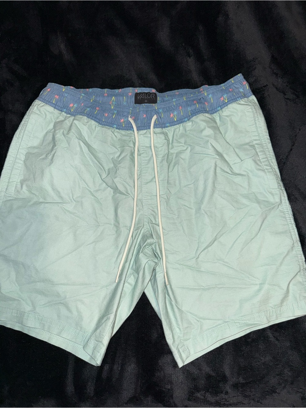 Valor Men's Mint Green Swim Trunks with Blue Elastic Waistband